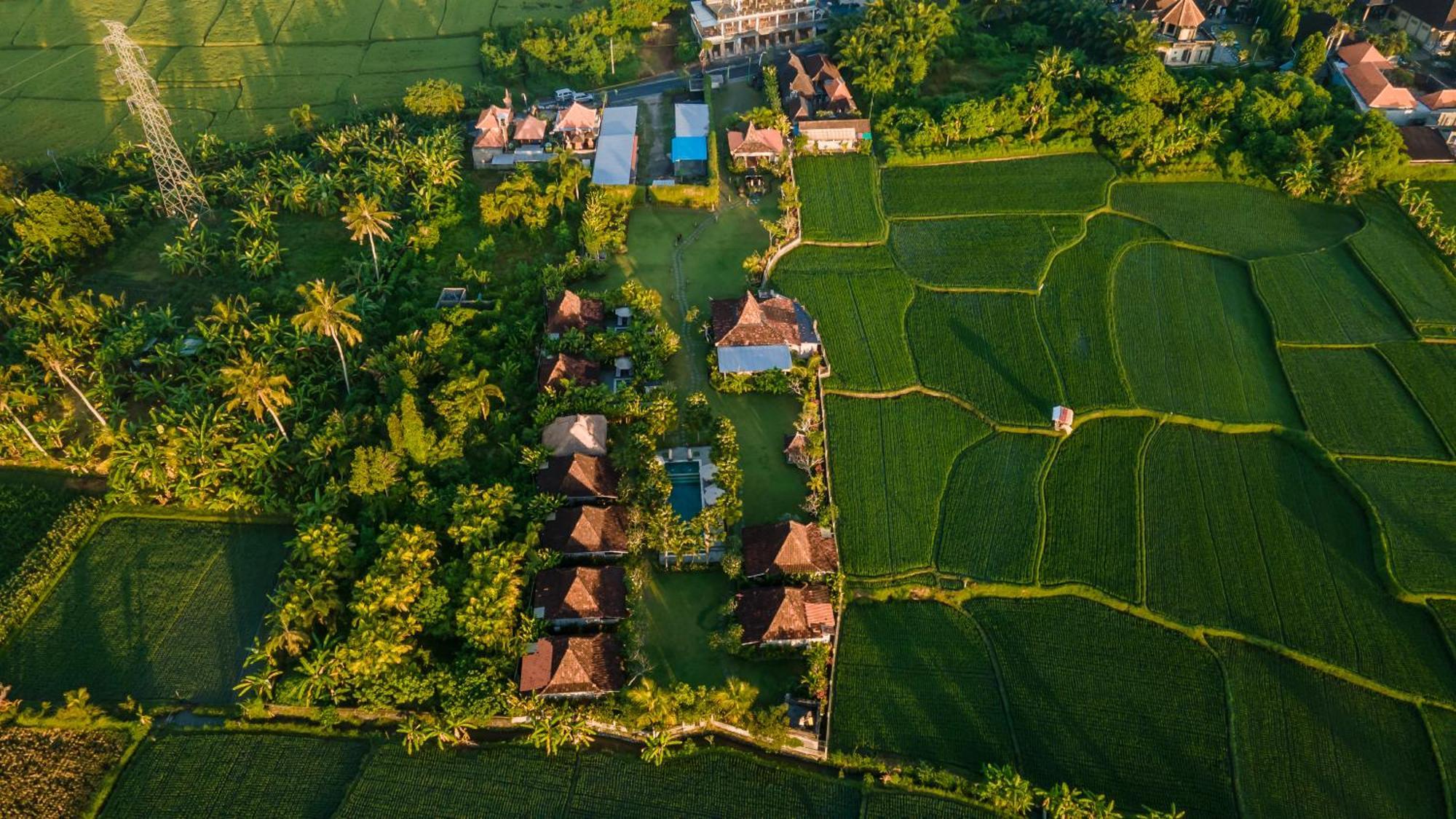 Aswanaya Villas Ubud المظهر الخارجي الصورة
