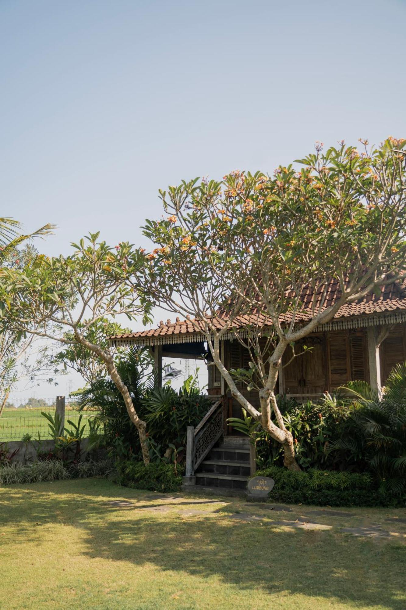 Aswanaya Villas Ubud المظهر الخارجي الصورة
