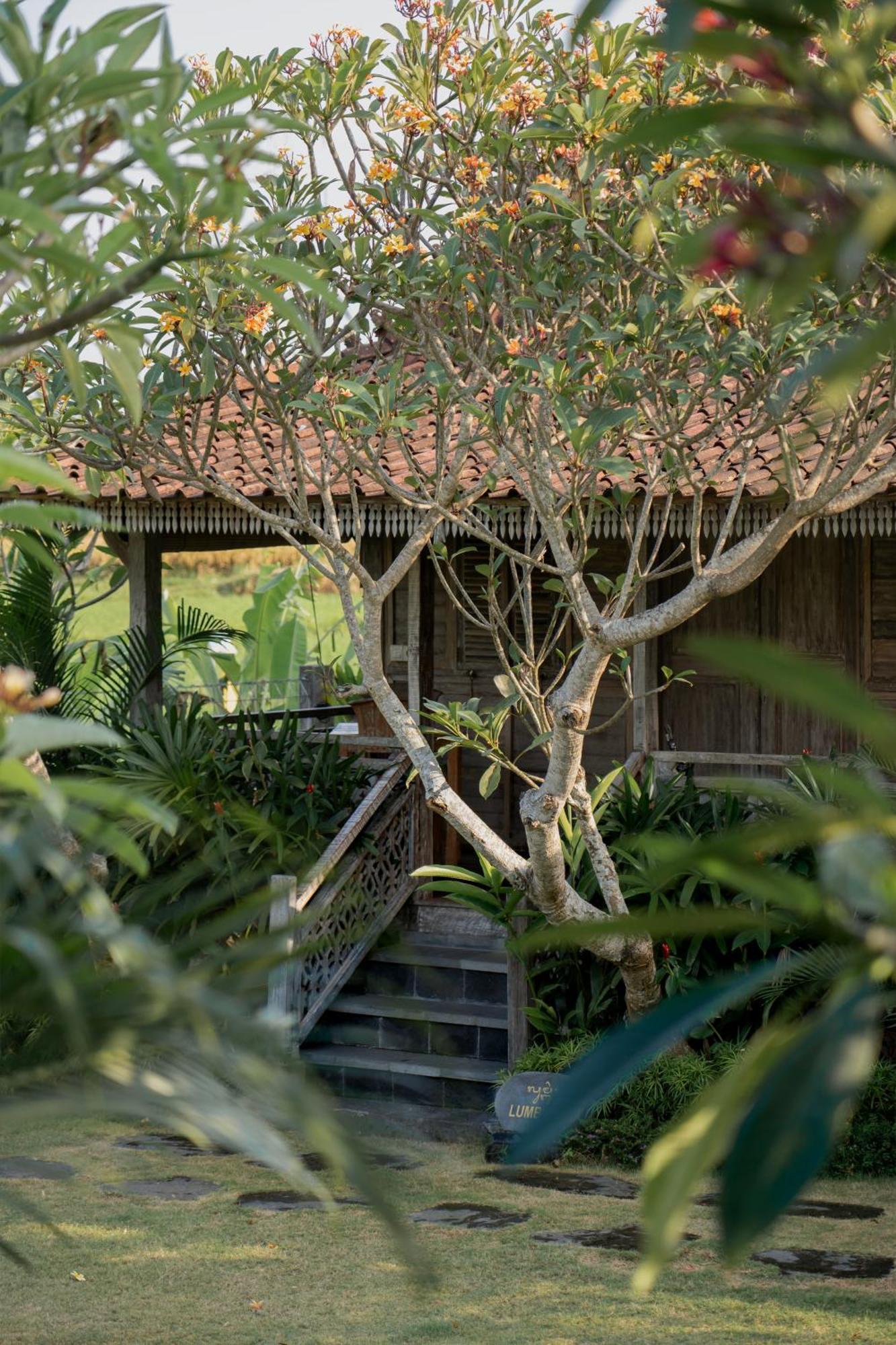Aswanaya Villas Ubud المظهر الخارجي الصورة